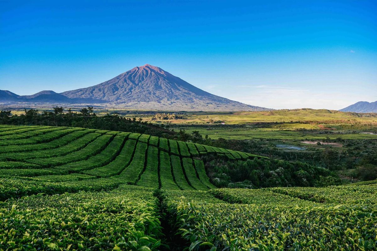 Gunung Kerinci & Taman Nasional Kerinci Seblat
